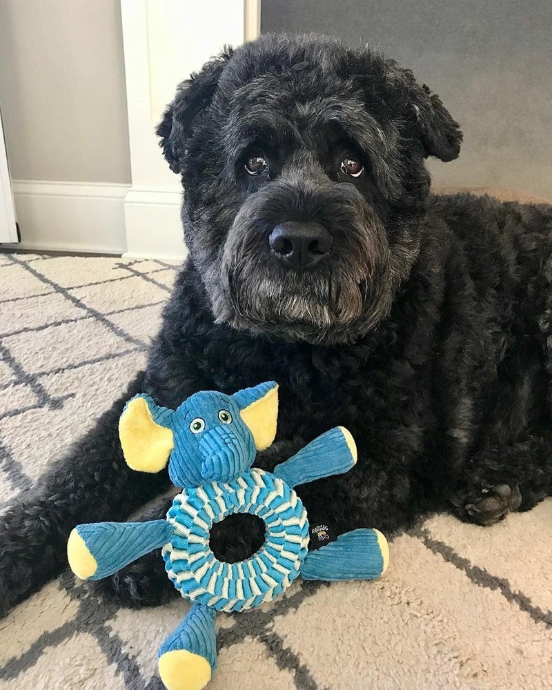 Spunky Pup Wibbleez Round | Assorted Stuffed Animal Dog Toy | Durable Plush and Nylon Fetch and Throw Toy for Dogs | Squeaker Tug Toy | Stuffed Toy for Dogs and Puppies | Stuffed Animal Chew Toy - Image 3